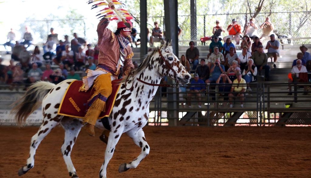 Brighton Field Day 2023 Brighton Field Days