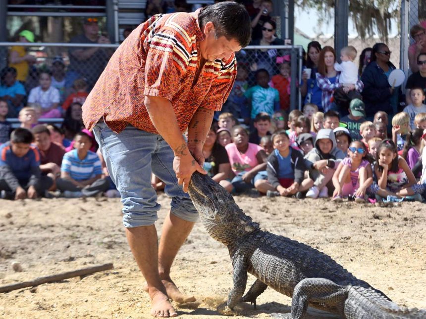 Brighton Field Day 2025 Schedule 
